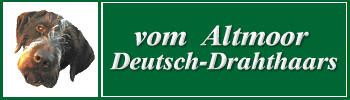 vom Altmoor Deutsch-Drahthaars